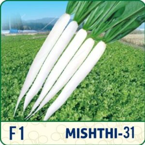 F1 Mishthi-31