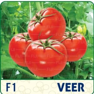 F1 Veer