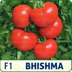 F1 Bhishma