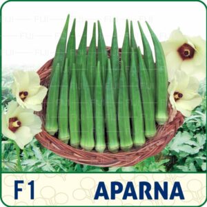 F1-Aparna