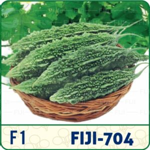F1 Fiji 704