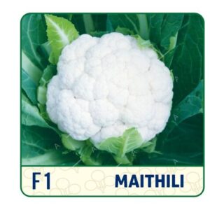 F1 Maithili