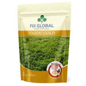 Fiji Global Haadu Gold