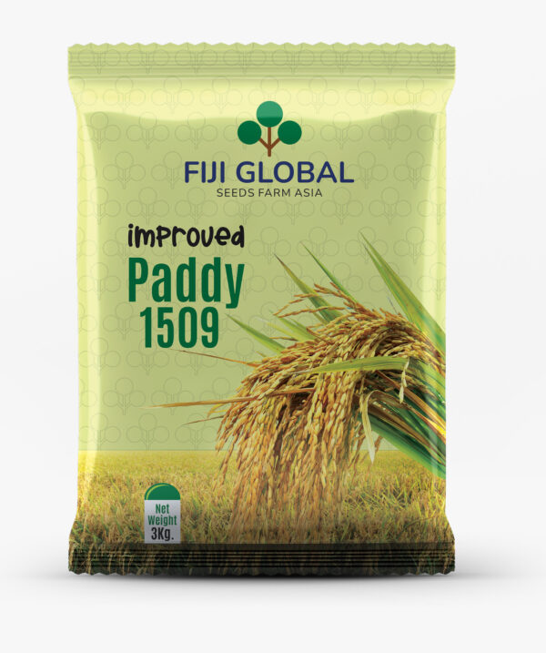 Fiji Global-Paddy 1509