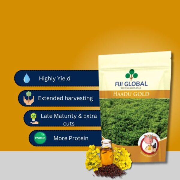 Fiji Global Haadu Gold - Image 2