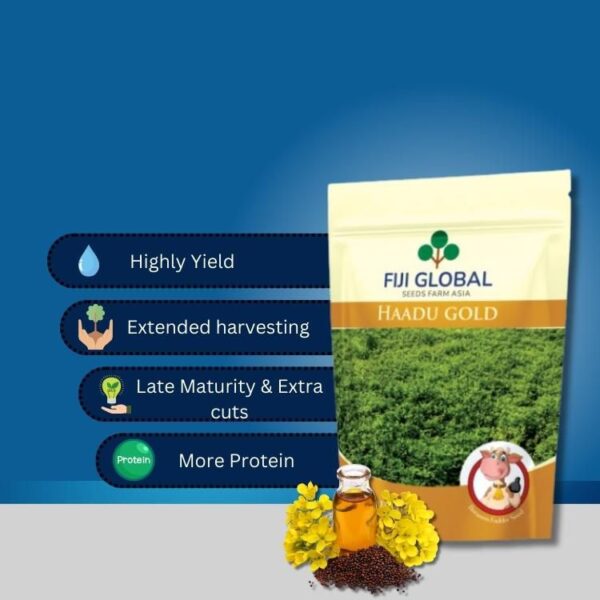 Fiji Global Haadu Gold - Image 3
