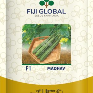 F1 Madhav