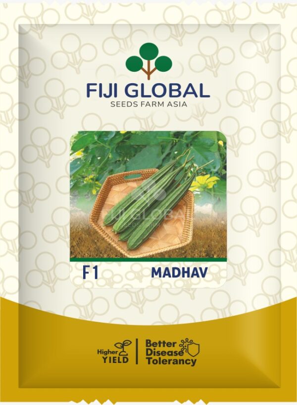 F1 Madhav