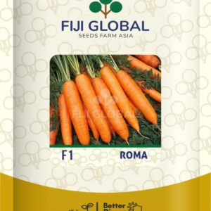 F1-(HYBRID CARROT SEED) ROMA
