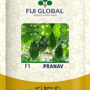 Fiji Global Pranav