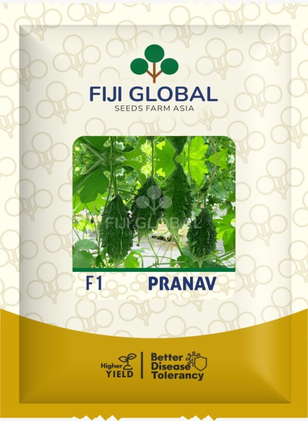 Fiji Global Pranav
