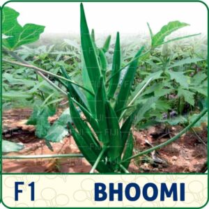 F1- Bhoomi