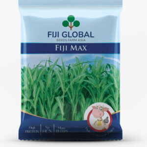Fiji Max