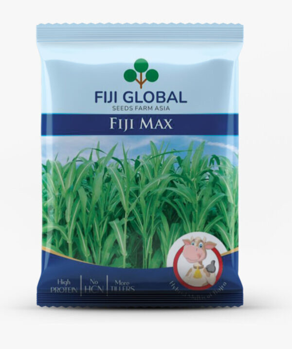 Fiji Max