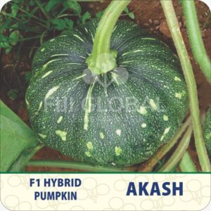 F1 Akash