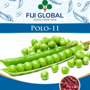 POLO-11
