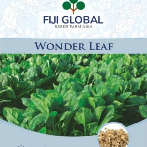 WONDER LEAF