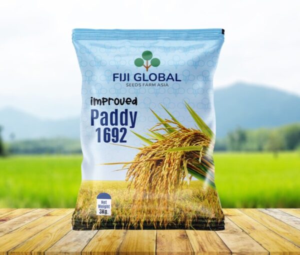 FIJI GLOBAL IMPROVED PADDY